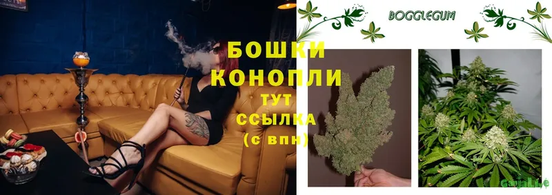 Шишки марихуана OG Kush  как найти закладки  Магадан 